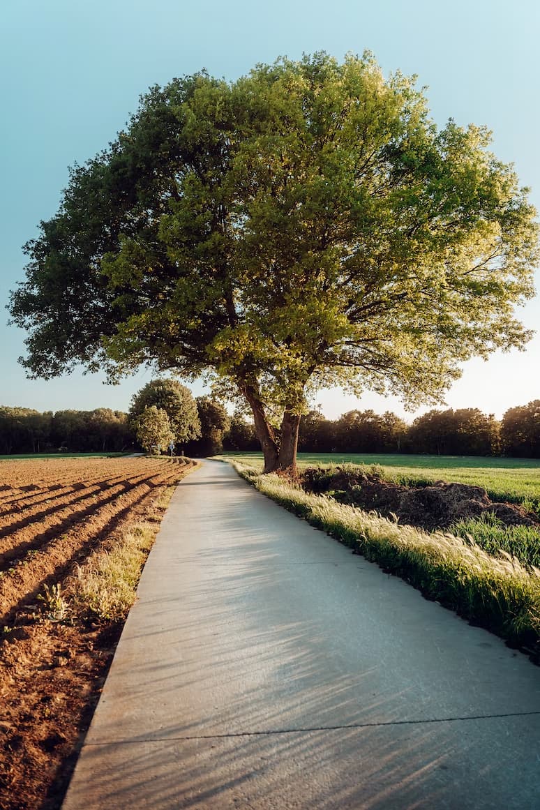 Campagne brabançonne